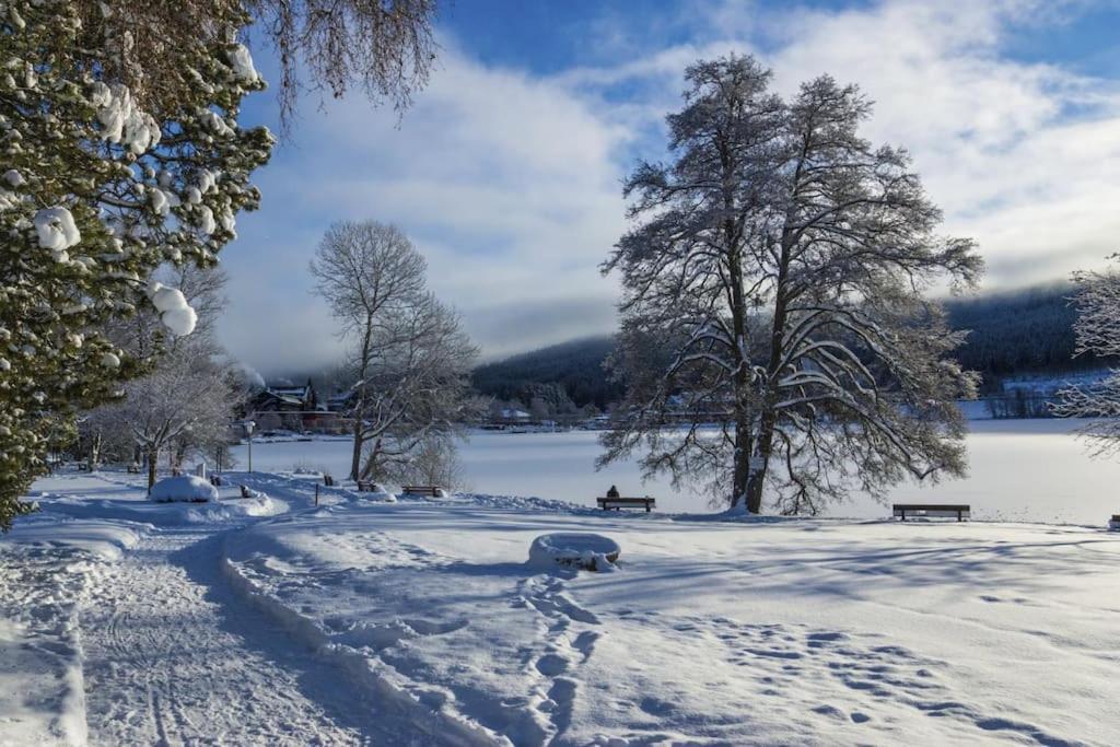Waldklang Titisee Exteriér fotografie