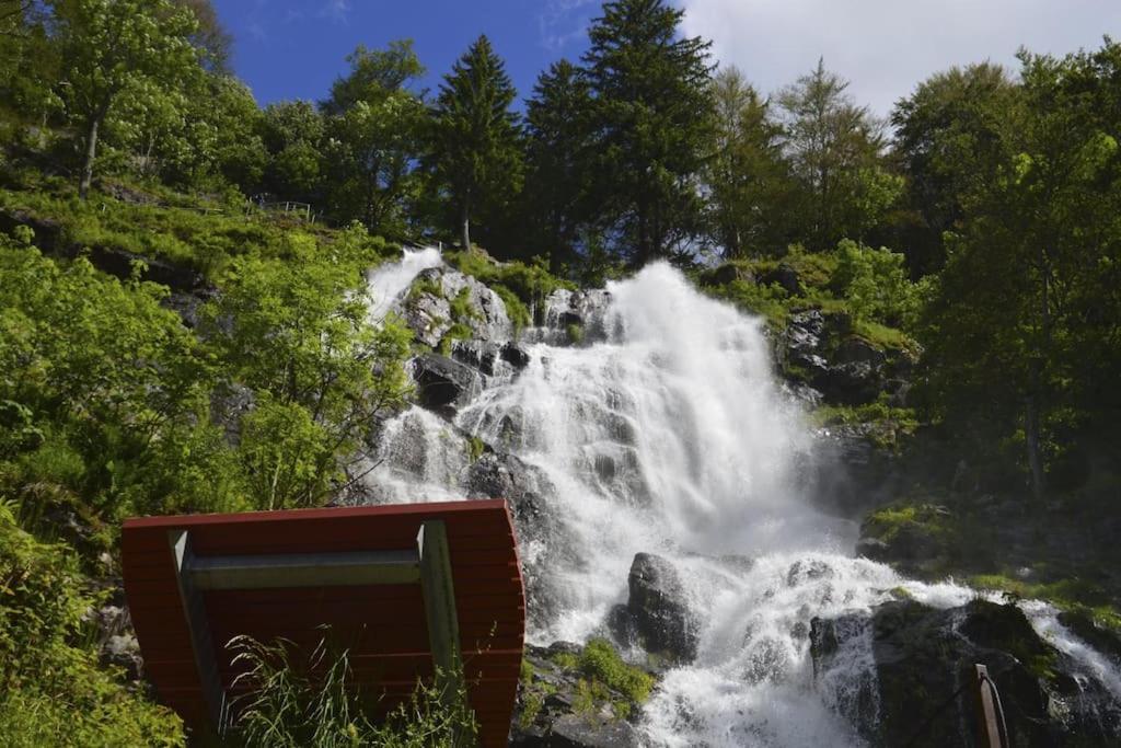 Waldklang Titisee Exteriér fotografie