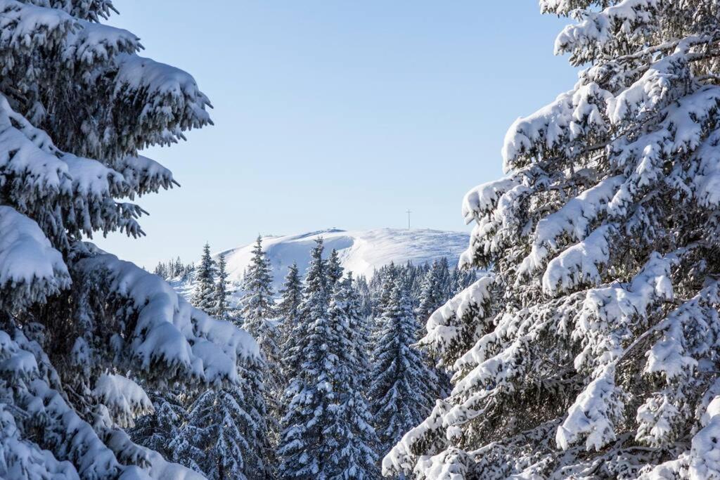 Waldklang Titisee Exteriér fotografie