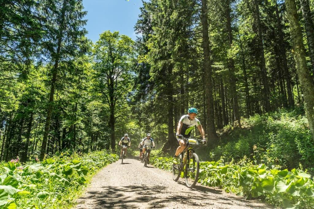 Waldklang Titisee Exteriér fotografie