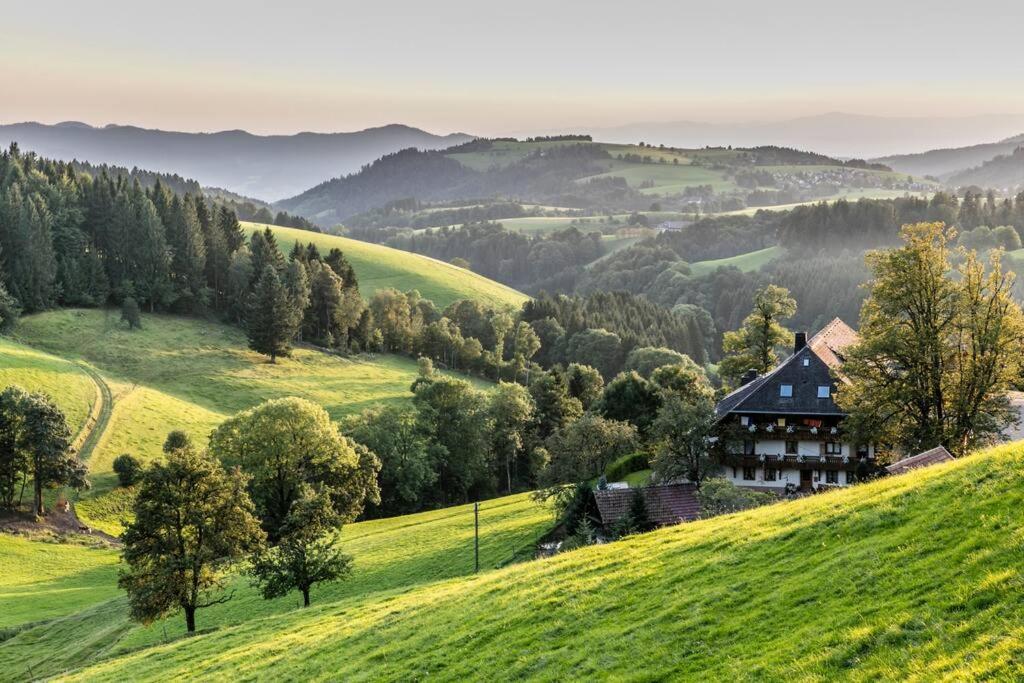 Waldklang Titisee Exteriér fotografie